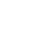Alternative Renewable Fuels - TIW Steel Platework